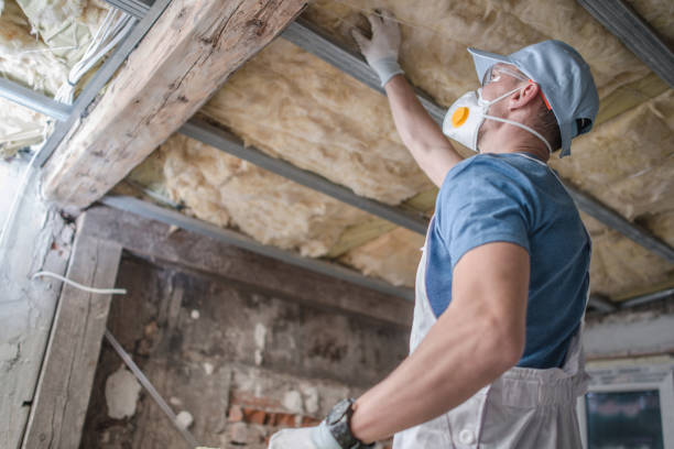 Best Cellulose Insulation in Twin Lake, MI